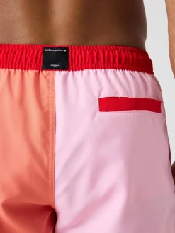 Borg Blocked Swim Shorts