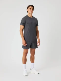 Borg Shorts 6 Inch
