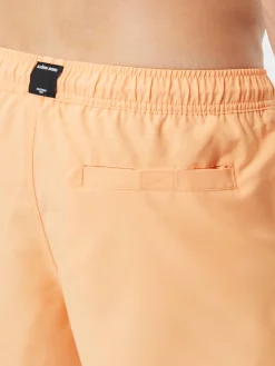 Borg Solid Swim Shorts
