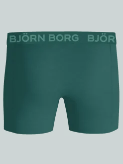 Cotton Stretch Boxers 5-pack