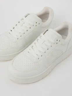 Men's Ollie Waterbased Sneakers
