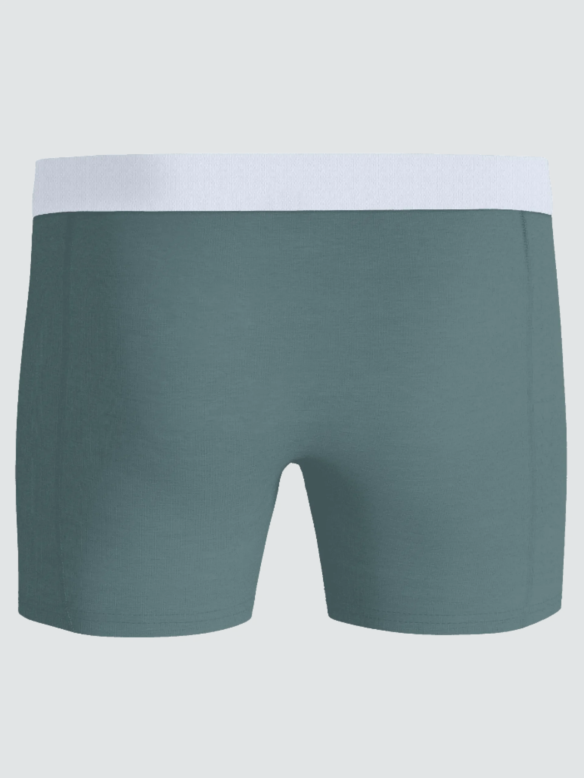 Organic Cotton Stretch Boxers 2-pack