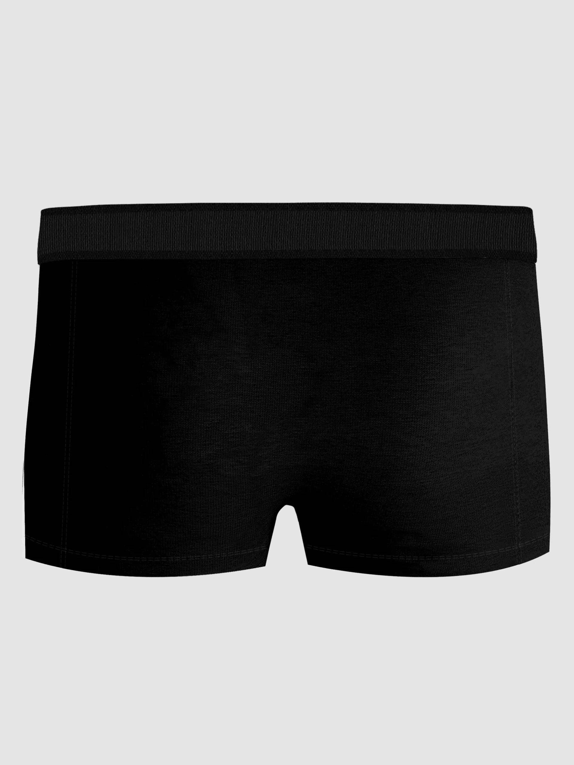 Organic Cotton Stretch Trunks 3-pack