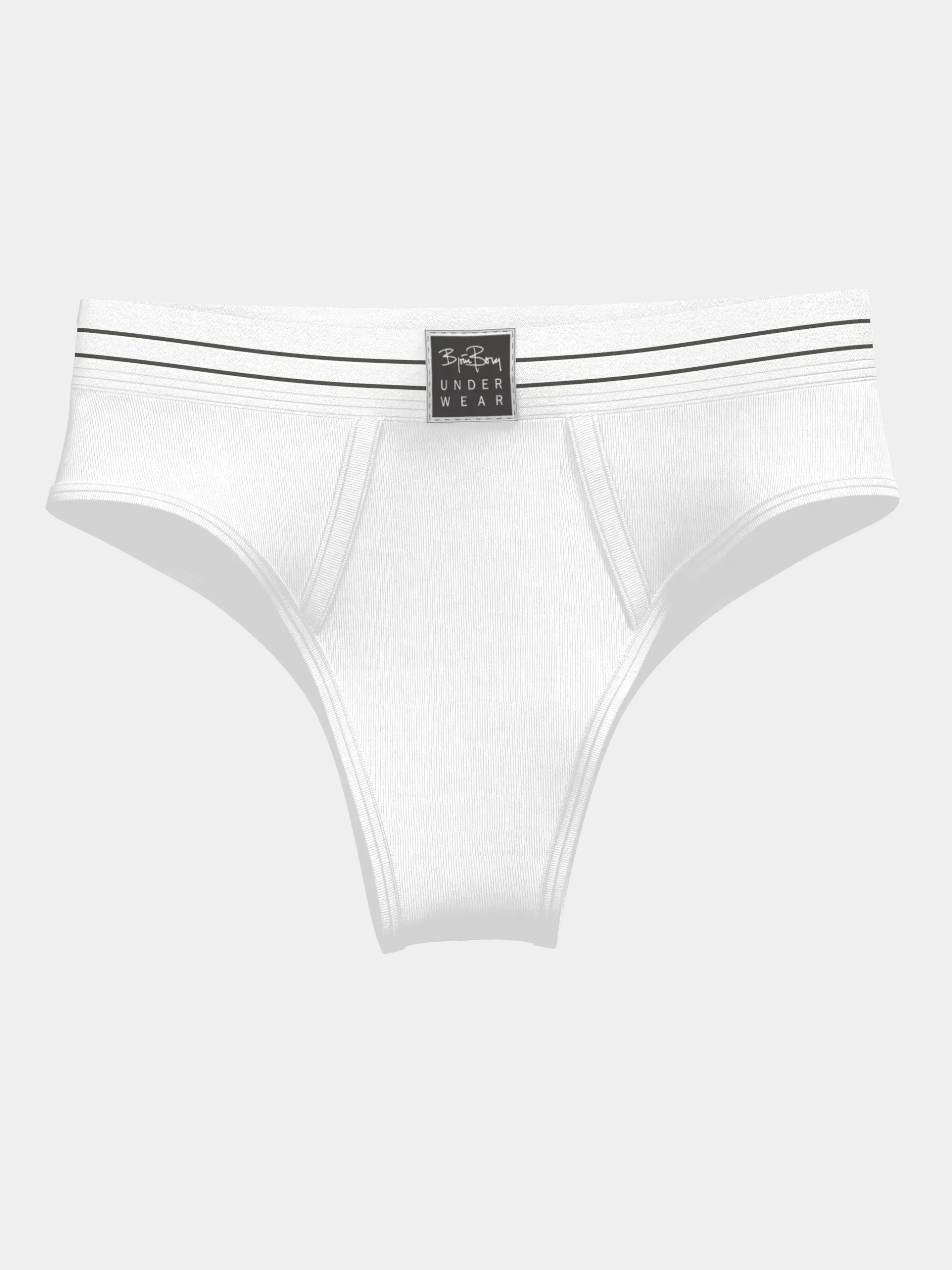 Original Highwaist Briefs 2-pack