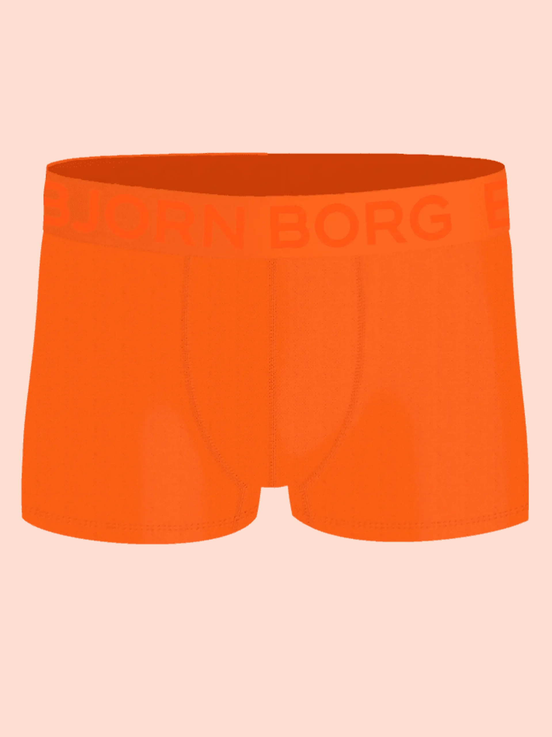 Sports Mesh Trunks 2-pack